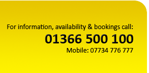 For information, availability and bookings with Woodland Meadows boarding kennels in Norfolk call 01366 500 100 or mobile 07734 776 777